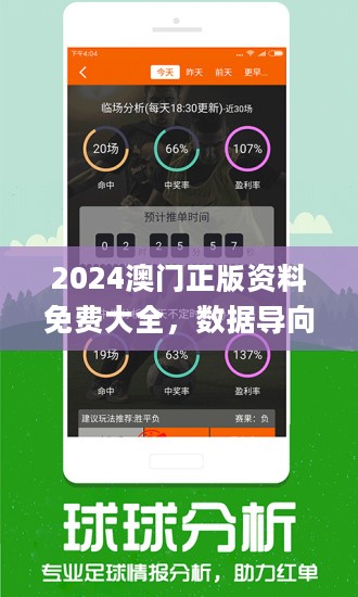 2024年新澳门王中王免费,深度分析解释定义_Prime14.200